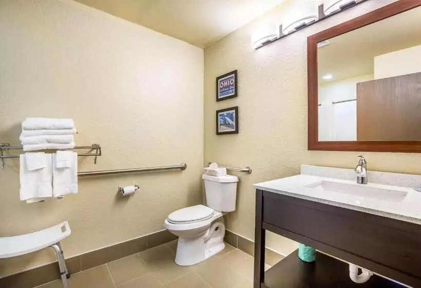 身障者適用スイートルーム, Comfort Inn & Suites Fairborn Near Wright Patterson Afb