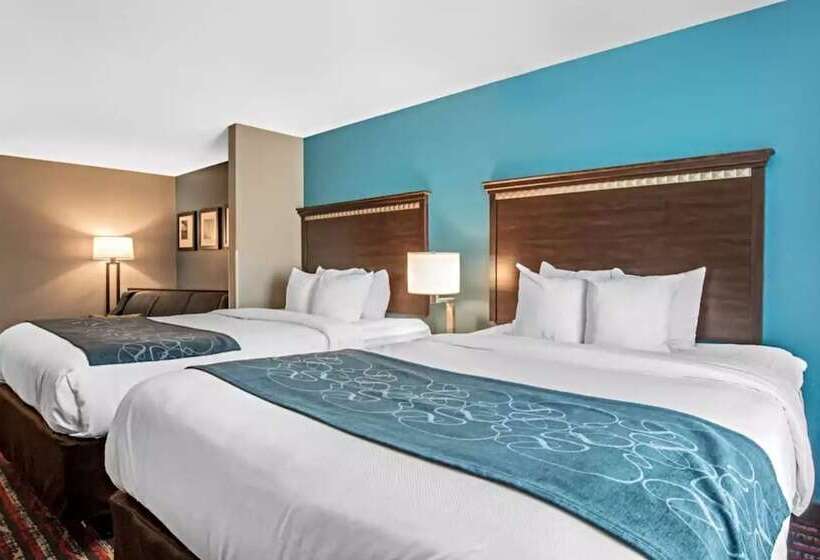 套房, Comfort Suites