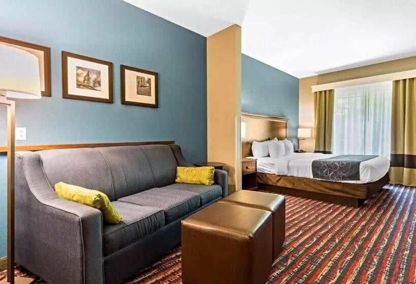 适合残疾人士使用的套间, Comfort Suites