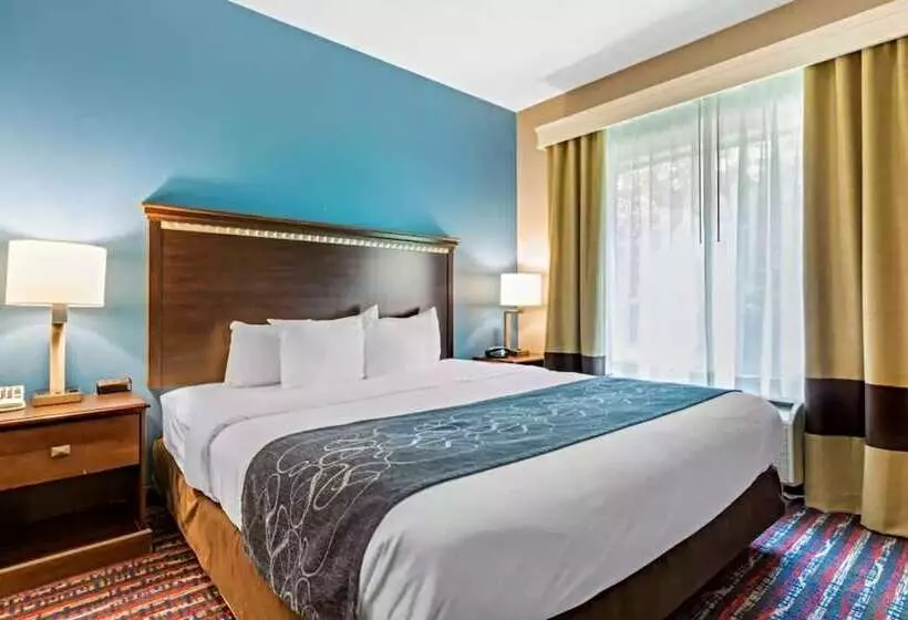身障者適用スイートルーム, Comfort Suites