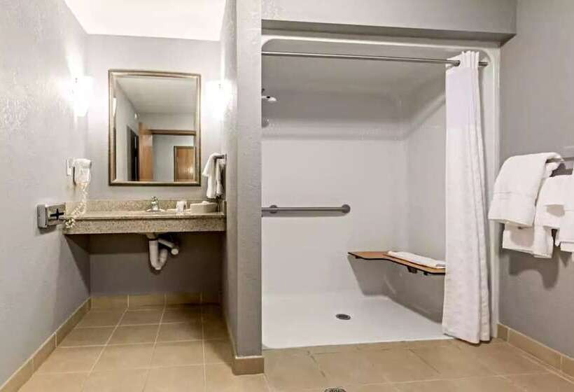 适合残疾人使用的标准间, Comfort Suites