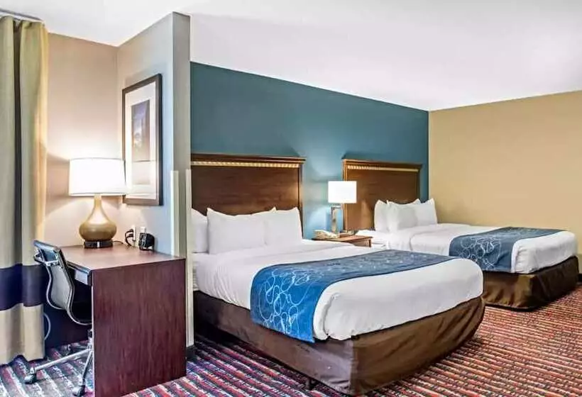 身障者適用スタンダードルーム, Comfort Suites