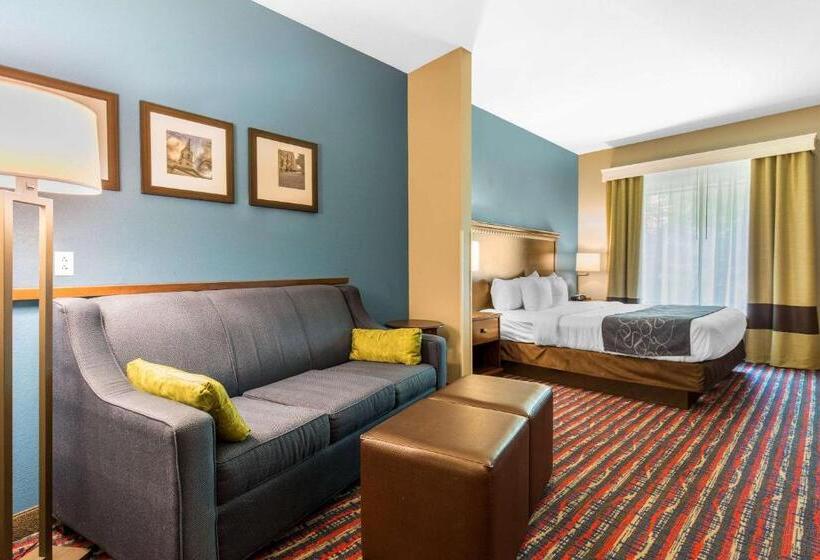 带大床的套房, Comfort Suites