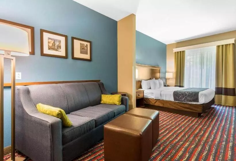 キングサイズベッドのスイートルーム, Comfort Suites