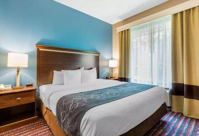 キングサイズベッドのスイートルーム, Comfort Suites