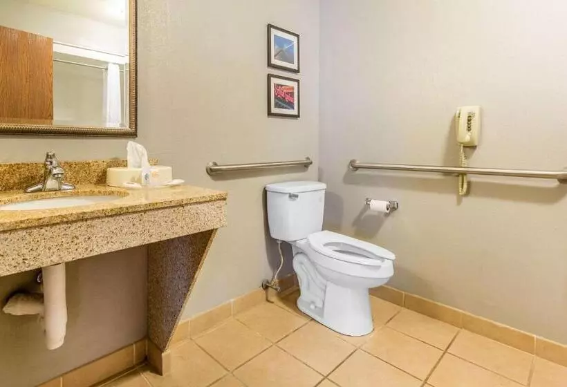 キングサイズベッドのスイートルーム, Comfort Suites