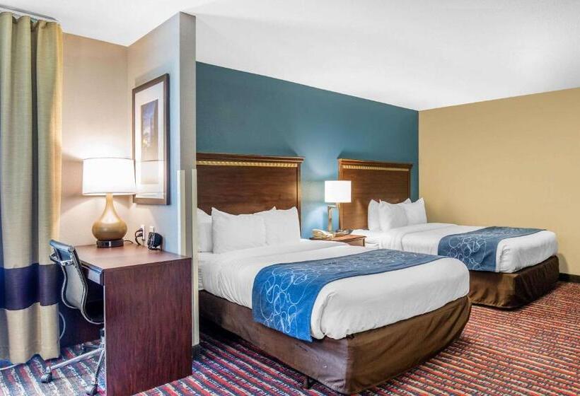 适合残疾人使用的标准间, Comfort Suites