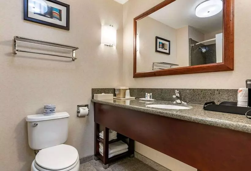 スイート, Comfort Suites Fernley