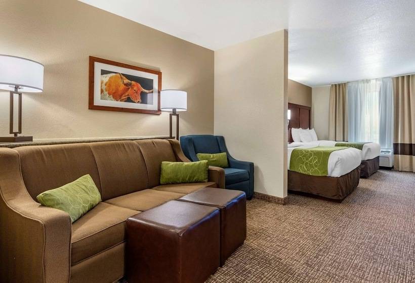 套房, Comfort Suites Fernley