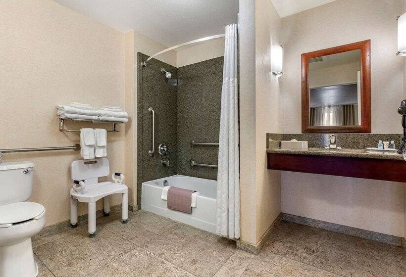 جناح لذوى الاحتياجات الخاصة, Comfort Suites Fernley