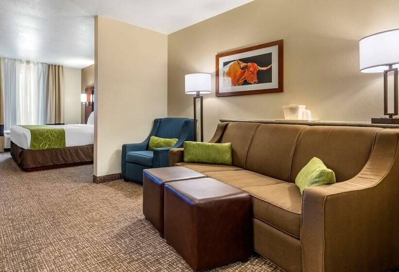 جناح لذوى الاحتياجات الخاصة, Comfort Suites Fernley