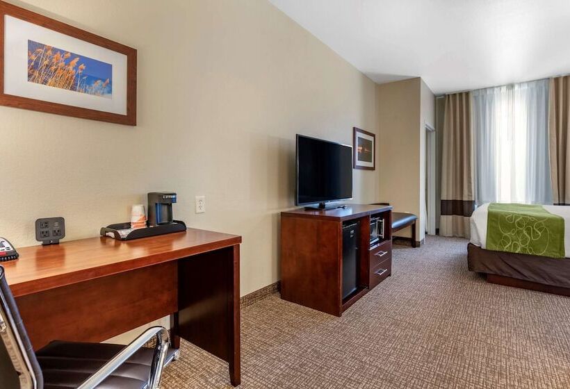 جناح لذوى الاحتياجات الخاصة, Comfort Suites Fernley