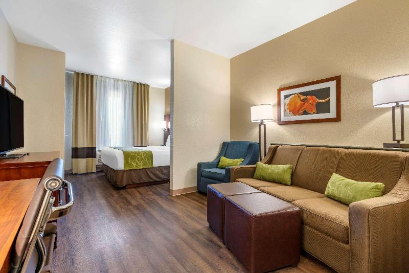 جناح سرير كينج, Comfort Suites Fernley