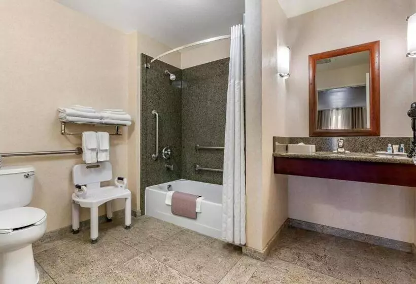身障者適用ジュニアスイートルーム, Comfort Suites Fernley