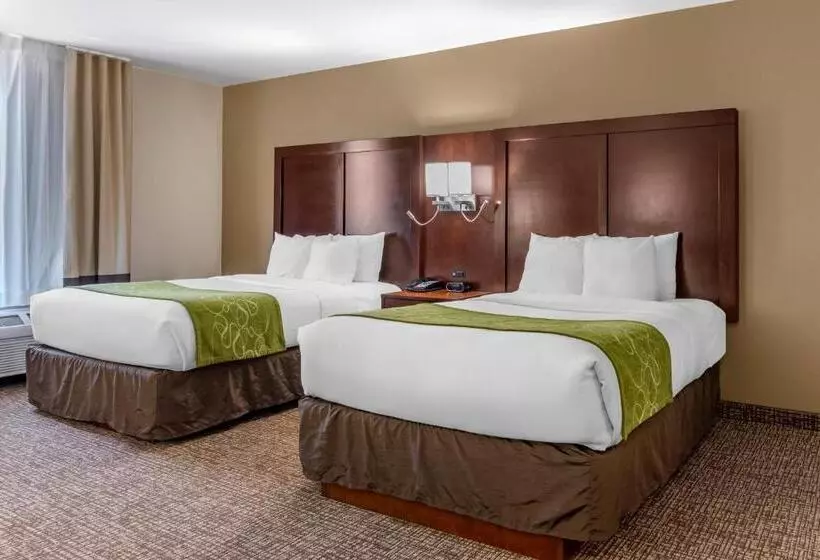身障者適用ジュニアスイートルーム, Comfort Suites Fernley