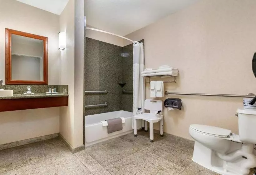 身障者適用スイートルーム, Comfort Suites Fernley