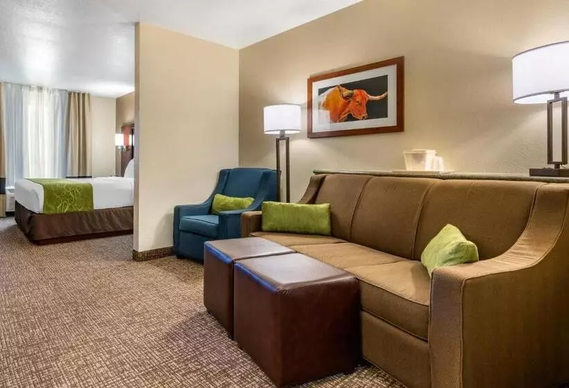 身障者適用スイートルーム, Comfort Suites Fernley