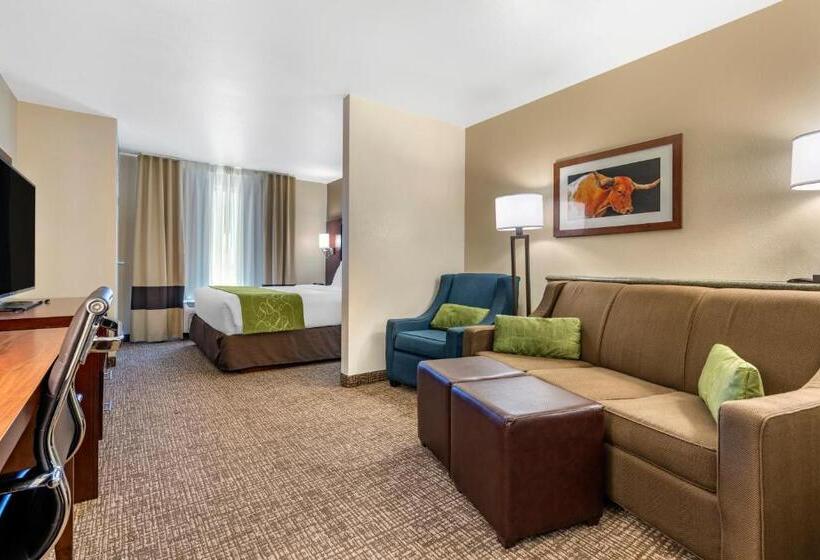 جناح لذوى الاحتياجات الخاصة, Comfort Suites Fernley