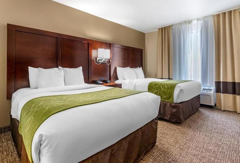 小型套房, Comfort Suites Fernley