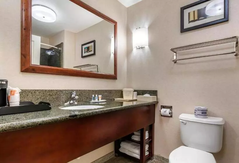 キングサイズベッドのスイートルーム, Comfort Suites Fernley