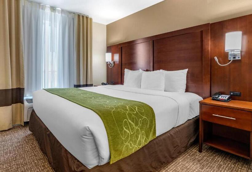 带大床的套房, Comfort Suites Fernley