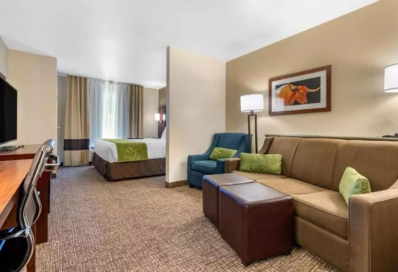 キングサイズベッドのスイートルーム, Comfort Suites Fernley