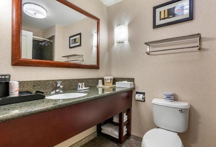 جناح سرير كينج, Comfort Suites Fernley