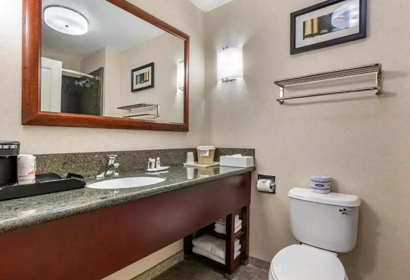 キングサイズベッドのスイートルーム, Comfort Suites Fernley