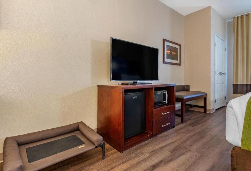 套房, Comfort Suites Fernley