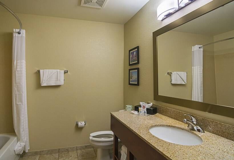 スイート, Comfort Suites Grayslake Near Libertyville North