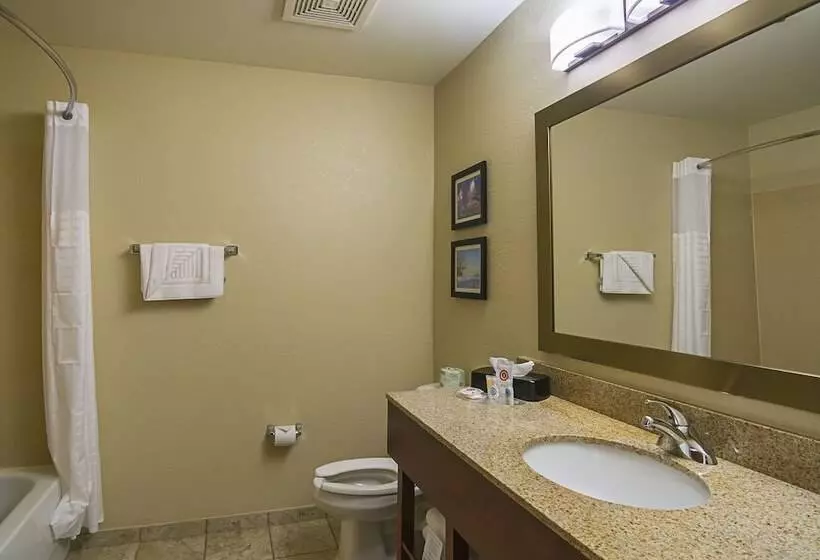 Sviitti, Comfort Suites Grayslake Near Libertyville North