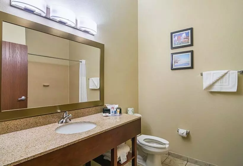 Sviitti, Comfort Suites Grayslake Near Libertyville North