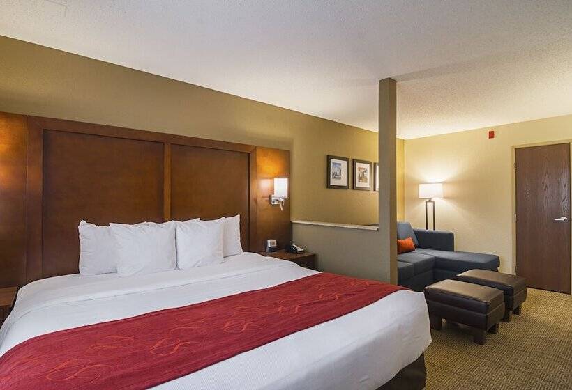 סוויטה, Comfort Suites Grayslake Near Libertyville North