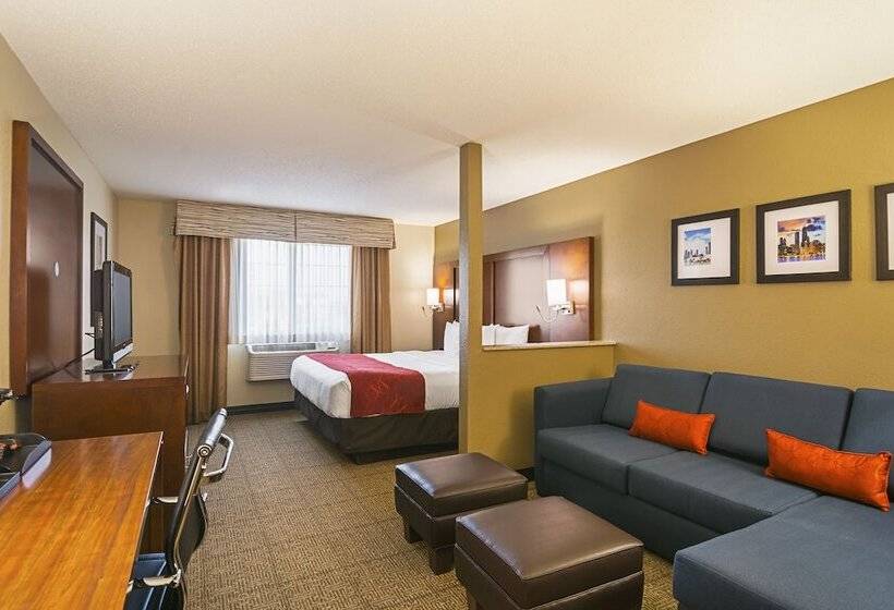 סוויטה, Comfort Suites Grayslake Near Libertyville North