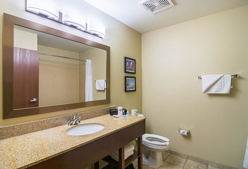 جناح, Comfort Suites Grayslake Near Libertyville North