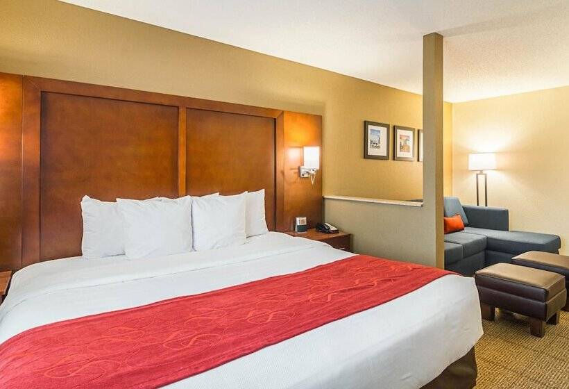 スイート, Comfort Suites Grayslake Near Libertyville North