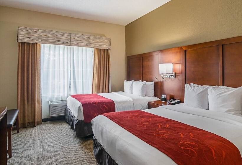 جناح, Comfort Suites Grayslake Near Libertyville North