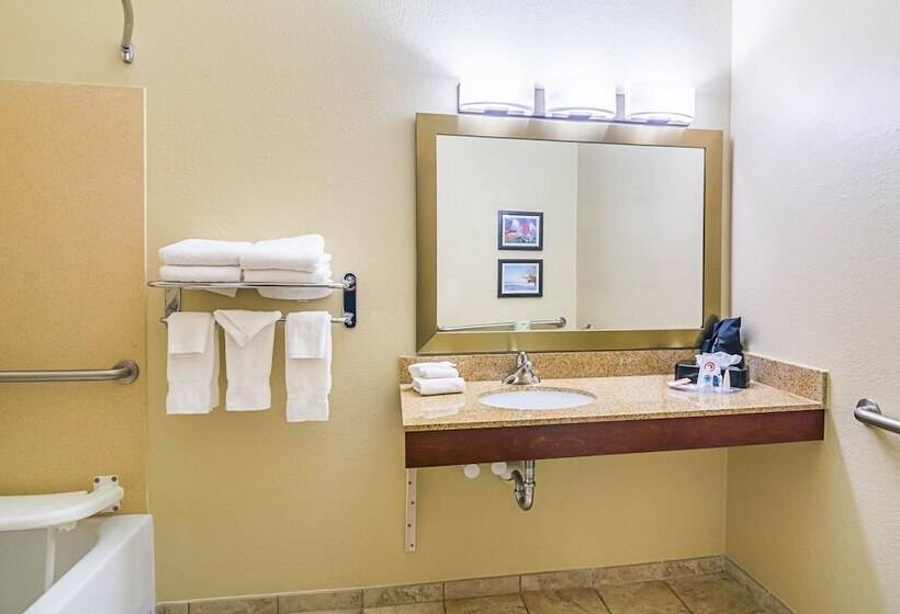 Suíte para Deficientes Físicos, Comfort Suites Grayslake Near Libertyville North