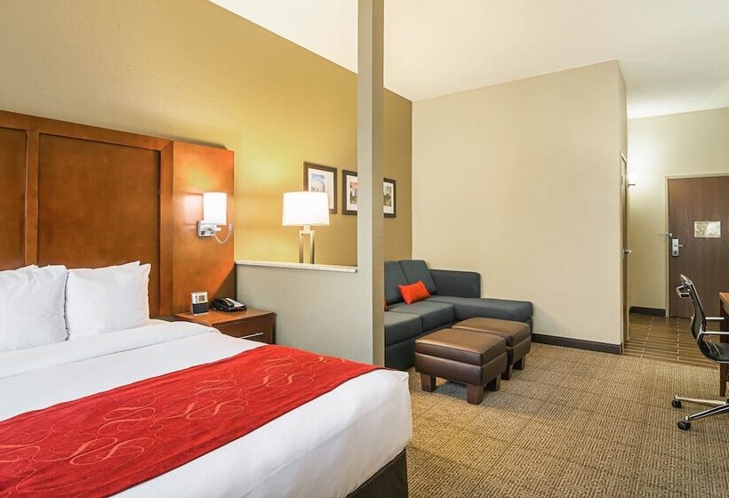 身障者適用スイートルーム, Comfort Suites Grayslake Near Libertyville North