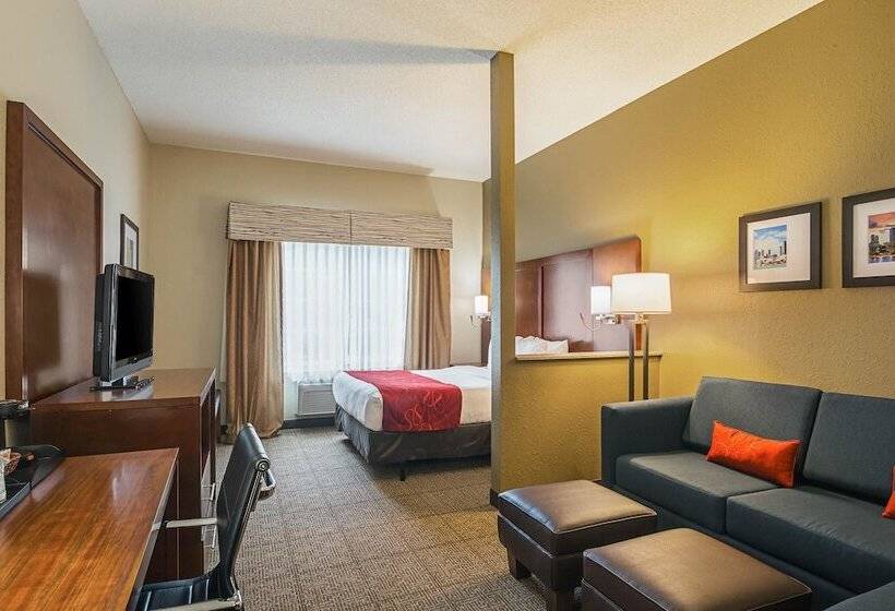 סוויטה מותאמת לאדם עם מוגבלויות, Comfort Suites Grayslake Near Libertyville North