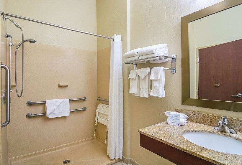 Suíte para Deficientes Físicos, Comfort Suites Grayslake Near Libertyville North