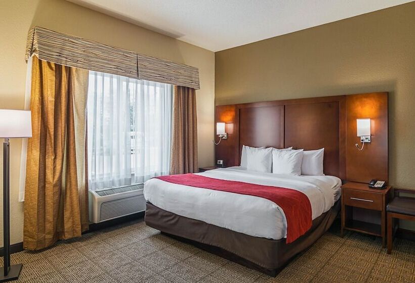 סוויטה מותאמת לאדם עם מוגבלויות, Comfort Suites Grayslake Near Libertyville North