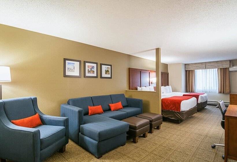 Suíte para Deficientes Físicos, Comfort Suites Grayslake Near Libertyville North