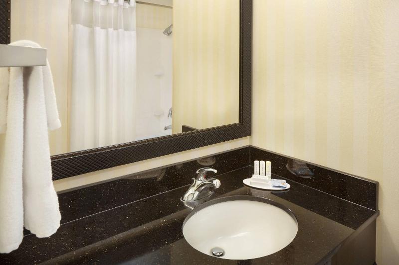 스탠다드 룸 킹사이즈 침대, Fairfield Inn & Suites By Marriott Selma Kingsburg