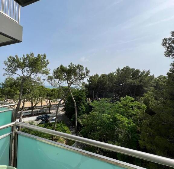 ジュニアスイート, International Beach