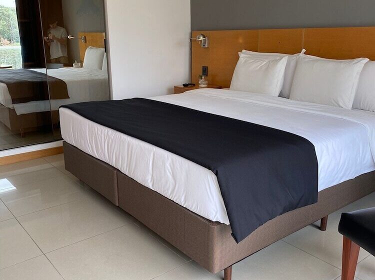 스탠다드 룸, Park