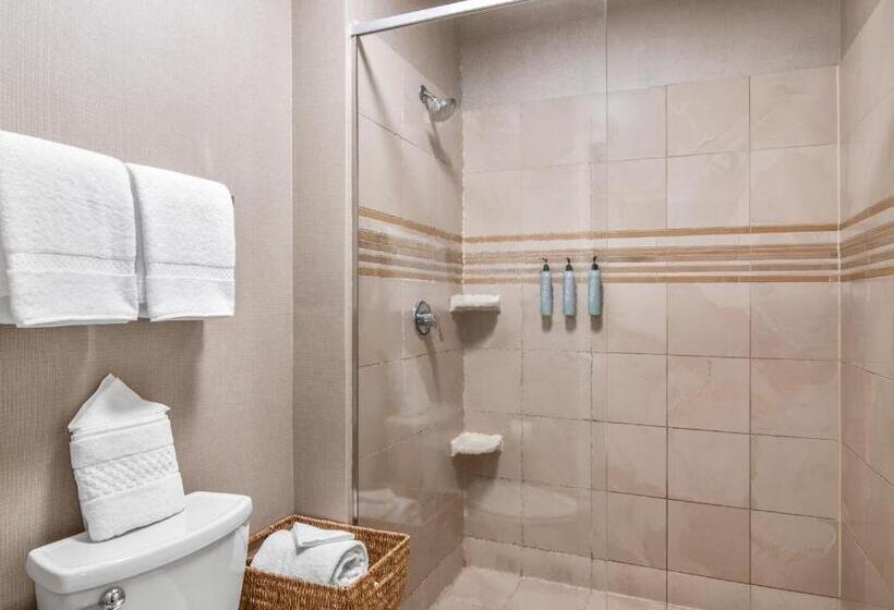 Люкс 2 Спальни, Residence Inn Phoenix Glendale Sports & Entertainment District