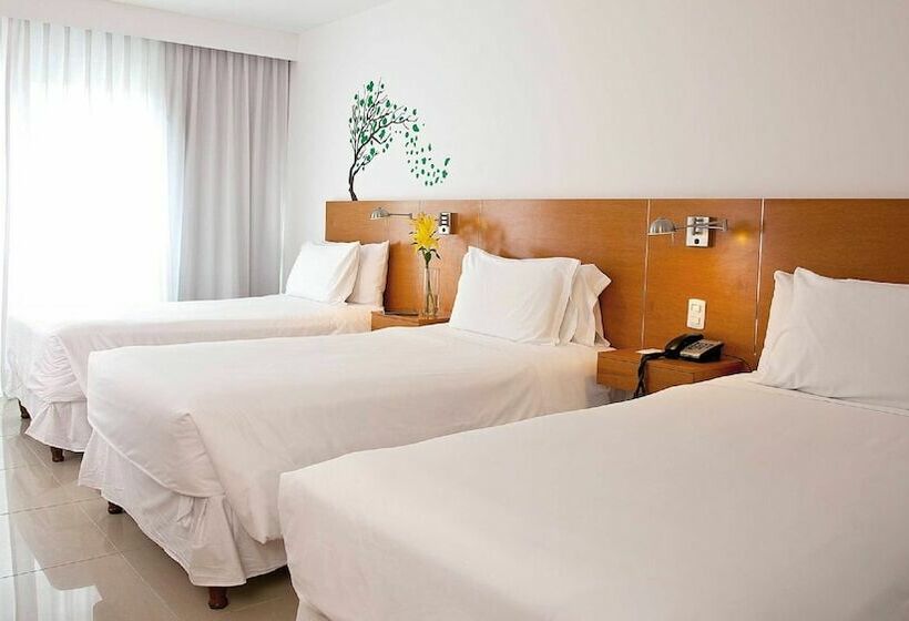 스탠다드 룸, Park