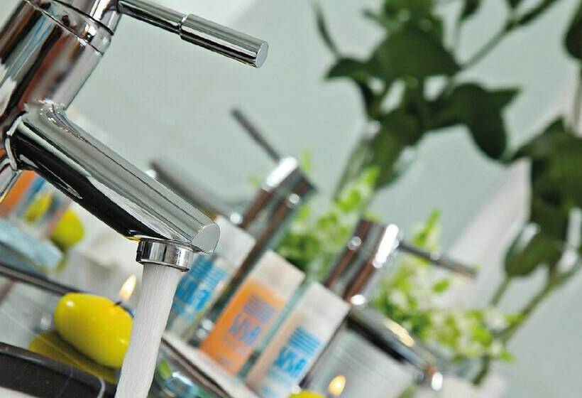 스탠다드 룸, Park