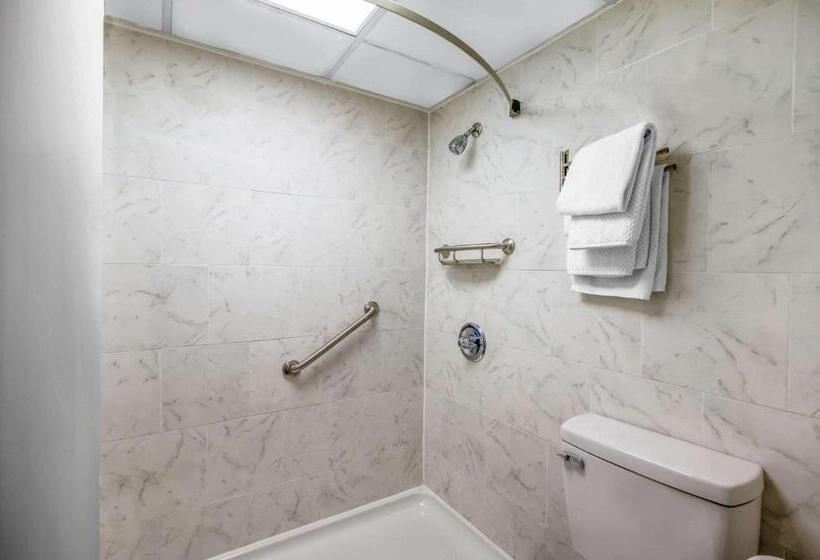 غرفة قياسية سرير كينج لذوى الإحتياجات الخاصة, Super 8 By Wyndham Perrysburg Toledo